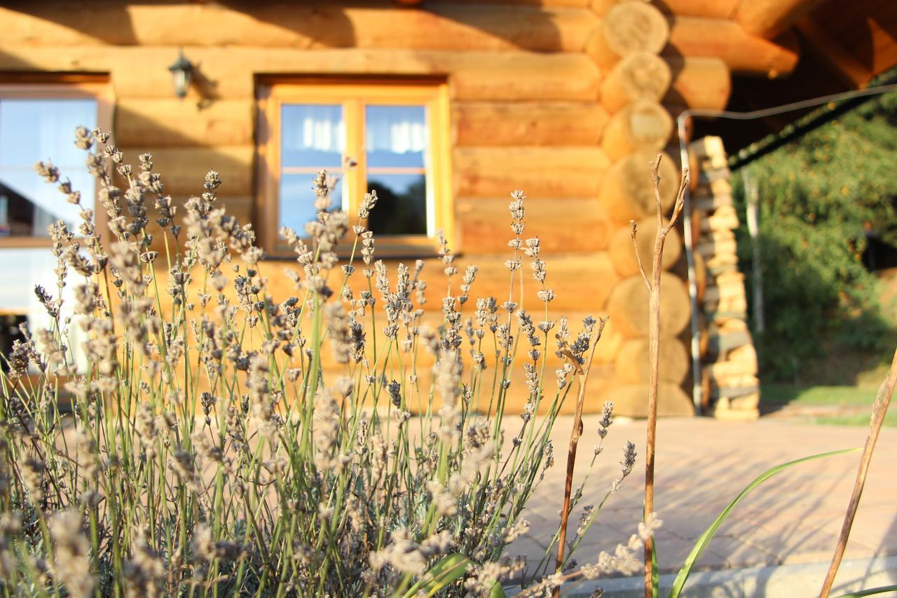 Ranch Bystra Villa Bystrá nad Jizerou Kültér fotó